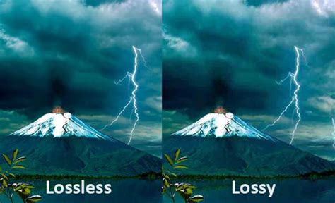 lossy vs lossless image compression